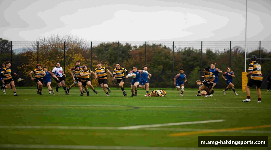 因为奋斗，所以辉煌。